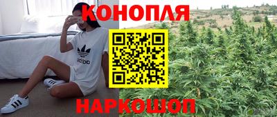 ПСИЛОЦИБИНОВЫЕ ГРИБЫ Партизанск