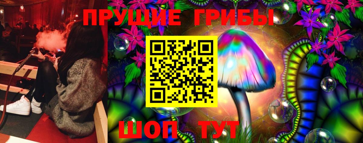 Славгород  Галлюциногенные грибы GOLDEN TEACHER  Галлюциногенные грибы мухоморы  Вход с VPN 