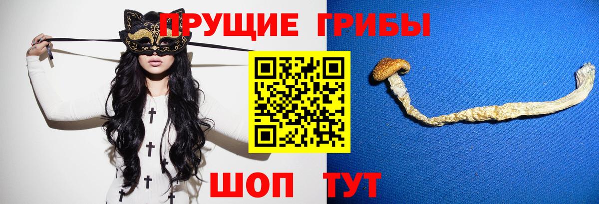 Галлюциногенные грибы GOLDEN TEACHER Славгород